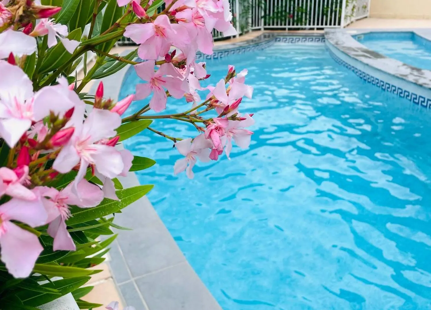 Apartment Appartement Cannes Avec Piscine